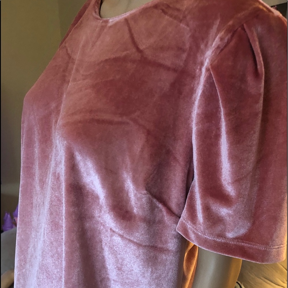 Pink crushed velvet short sleeved top